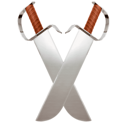Chinese martial arts butterfly swords